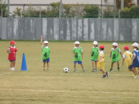 PA200623