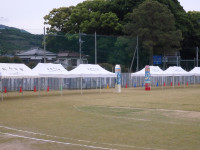 P5160575