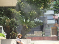 P6270599