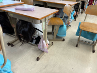 3年1組_学活_井上千佳子_写真2 (2)