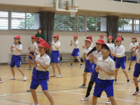P5010818